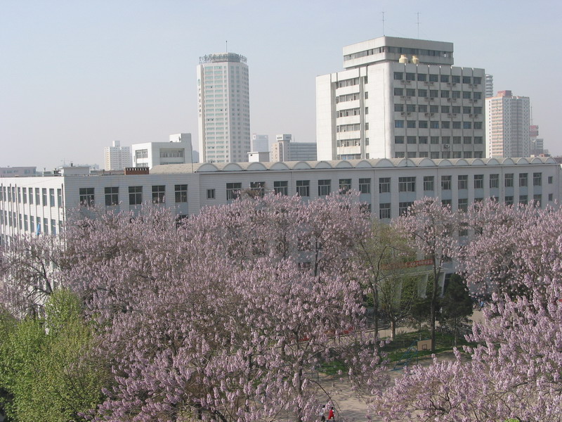 河南工业类大学校园全景