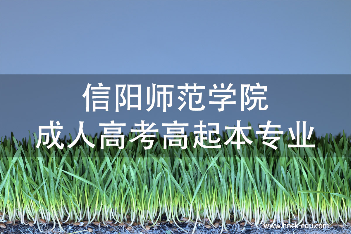 信阳师范类学院成人高考高起本专业